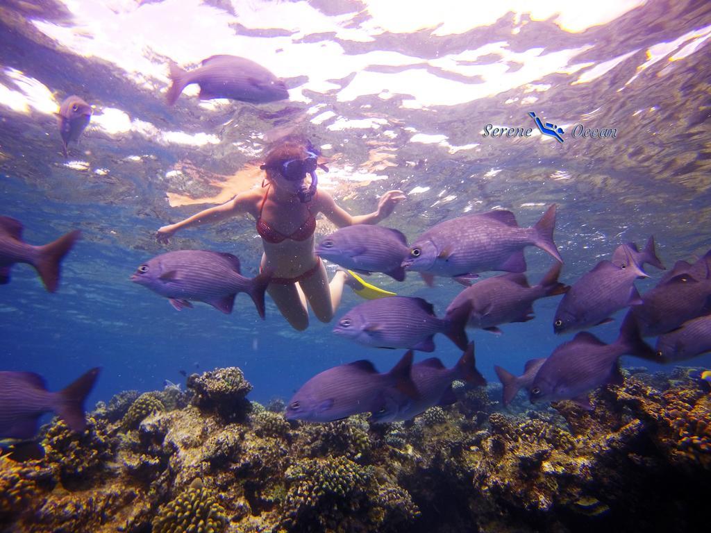 Relax Residence Thoddoo Maldives Luaran gambar