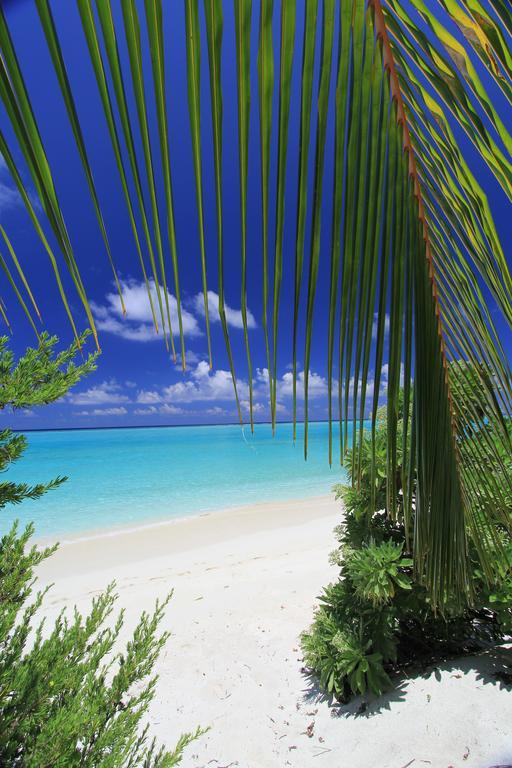 Relax Residence Thoddoo Maldives Luaran gambar